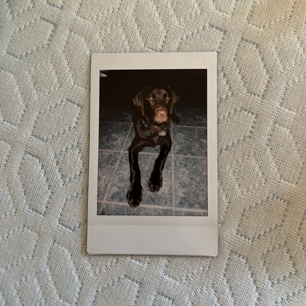 Fujifilm Instax Mini 8
